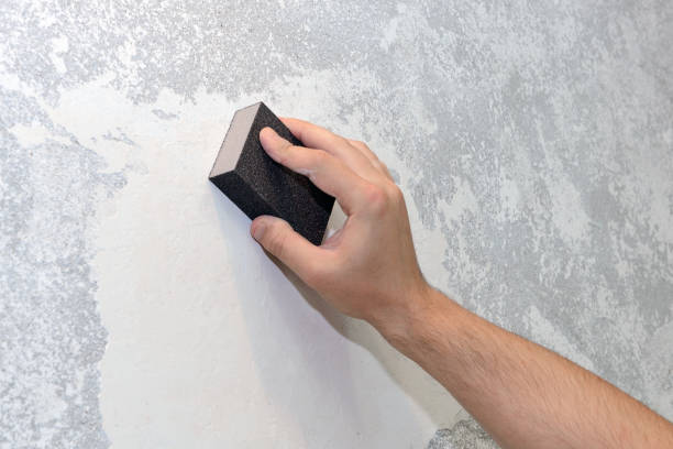 Best Environmental Consulting for Mold Prevention  in Hazlehurst, GA