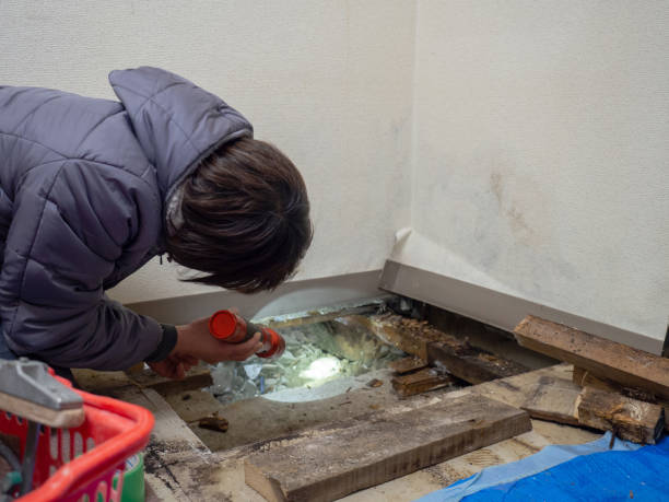 Best Water Damage & Mold Remediation  in Hazlehurst, GA