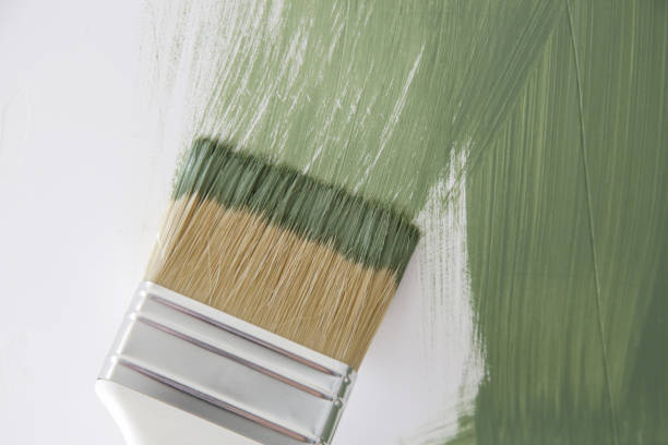  Hazlehurst, GA Mold Removal Pros