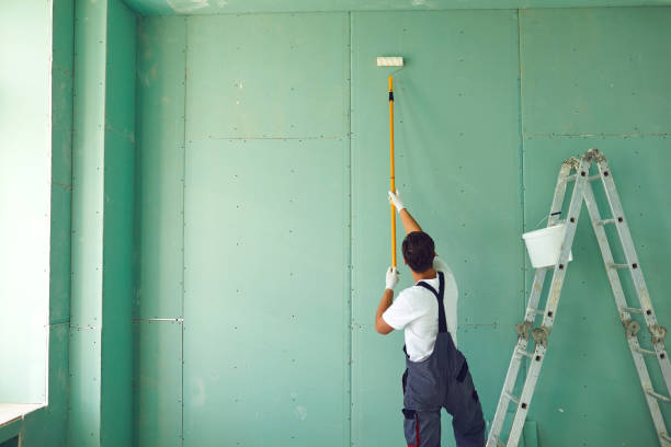 Reliable Hazlehurst, GA Mold Removal Solutions