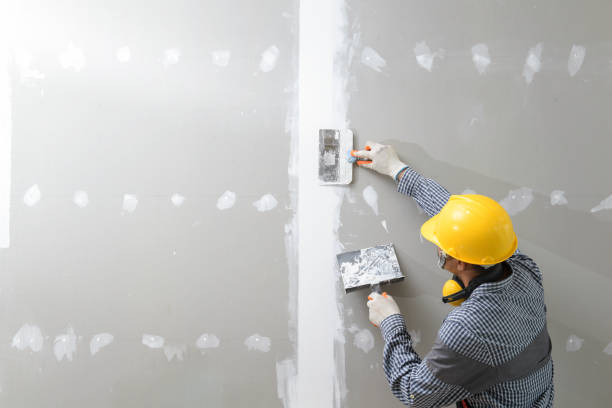 Best Mold-Related Health Consultation  in Hazlehurst, GA