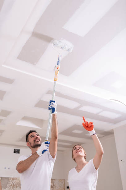 Best Mold Odor Removal Services  in Hazlehurst, GA