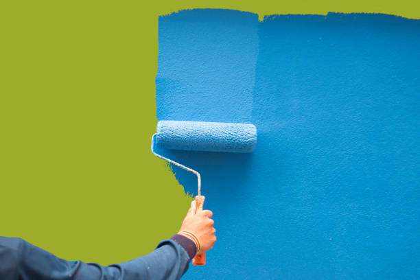 Best Attic Mold Removal  in Hazlehurst, GA